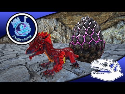 AWESOME ROCK DRAKES !! :: ARK PUGNACIA :: EP4