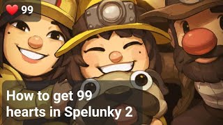 Spelunky 2 - How To Get 99 Hearts In Volcana!