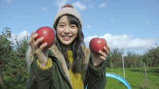 駒井蓮のひらり平川びより　りんご収穫体験
