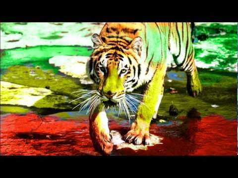 Cosmic Orient - Bengal Tiger (Original Mix)