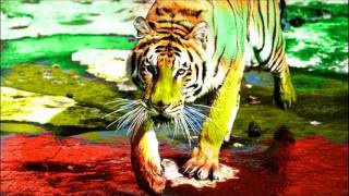 Cosmic Orient - Bengal Tiger (Original Mix)