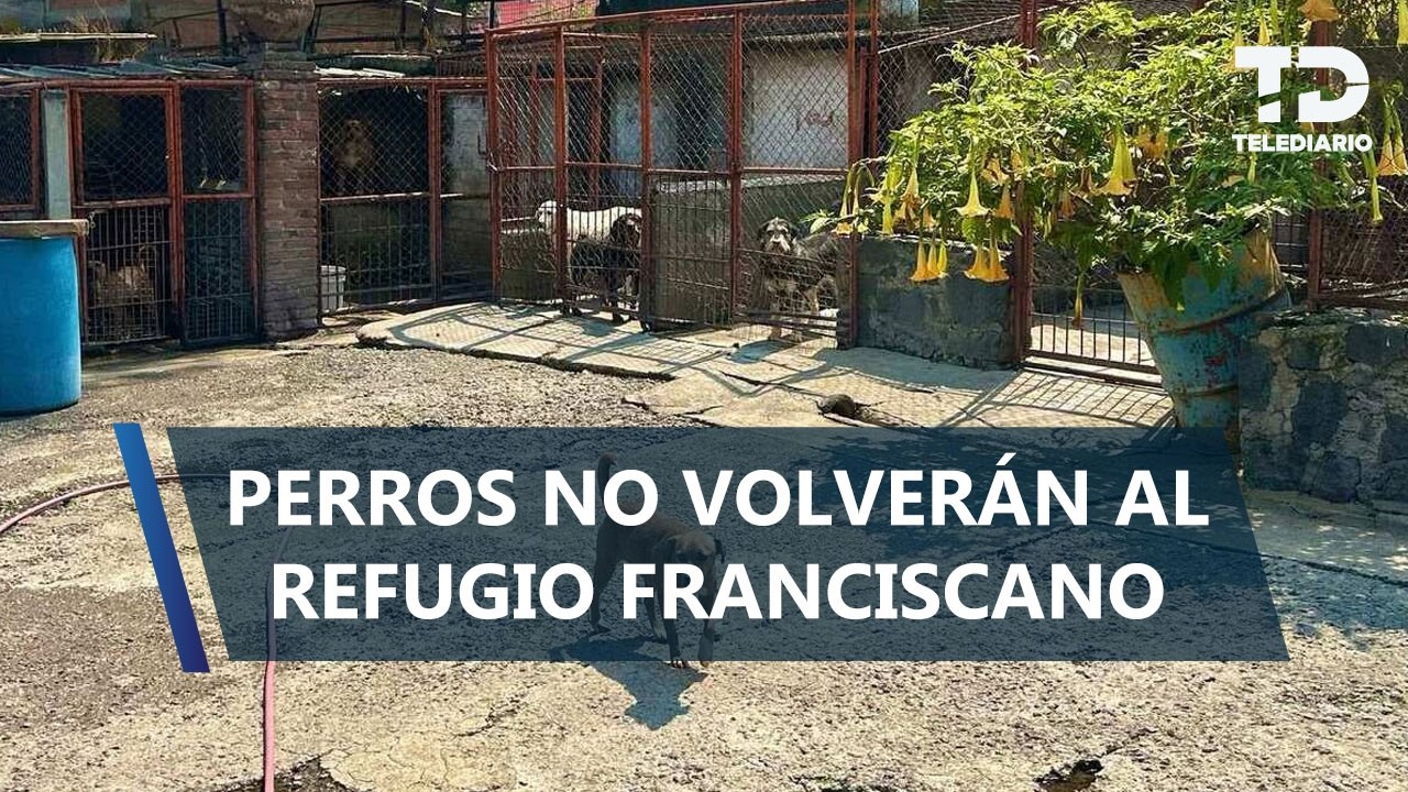 Autoridades de CdMx descartan regresar a perros a Refugio Franciscano; alistan reubicación