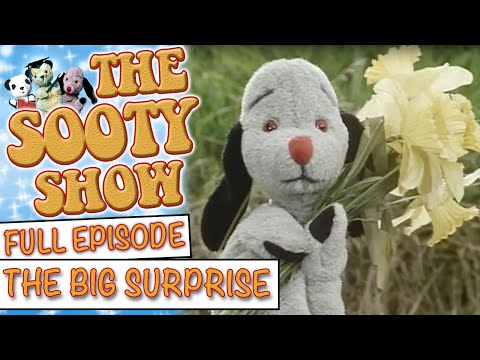 The Big Surprise | The Sooty Show | Full Episode