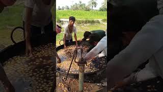 Download lagu process for dry dates mp3