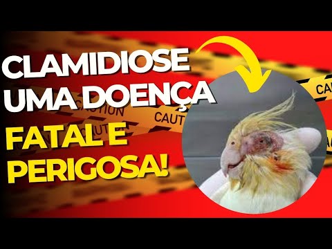 , title : 'CLAMIDIOSE UMA DOENÇA FATAL E PERIGOSA!'