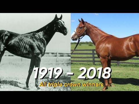 All Triple Crown winners ||1919 - 2018||