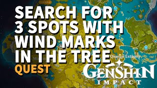 Search for 3 spots with wind marks in the tree Genshin Impact