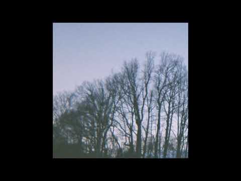 31. harvest - on the news