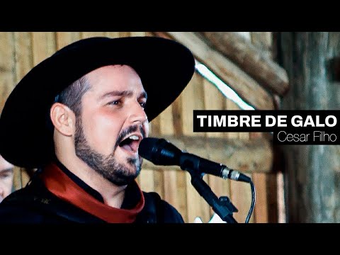 TIMBRE DE GALO - CESAR FILHO • AO VIVO NO CANTO CAMPEIRO