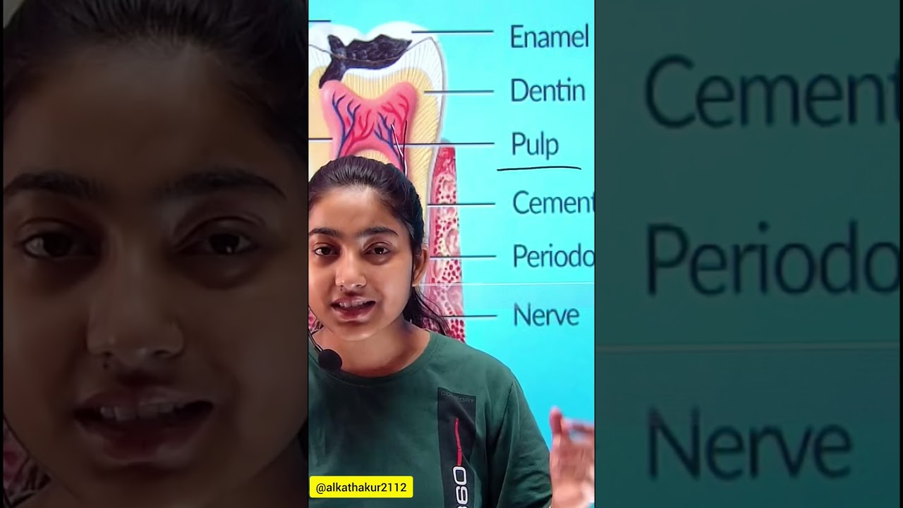 दांत कैसे सड़ते हैं?|#alkathakurshorts #youtubeshort