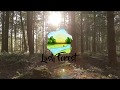Lush Forest Logo In Pine Trees