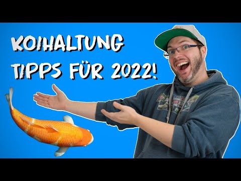 KOIHALTUNG - Tipps für 2022!