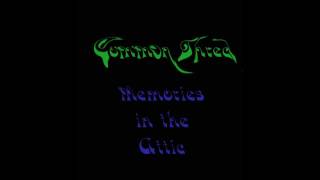 Memories In The Attic-Common Thred-A St. Louis Original Rock Band