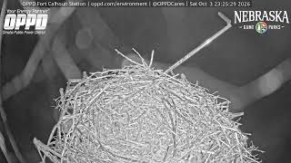 Fort Calhoun Station Osprey Watch