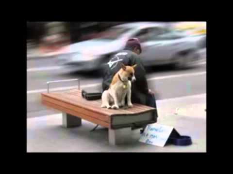 Sesu - In General (Imagini Andreea)