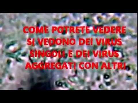 Trattamento per la schiena muscolo slogata Clinica ginocchio a Yaroslavl