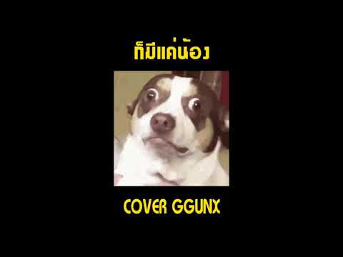 NOWEY - ก็มีแค่น้อง Feat P.A.P BEAT BAND X WONDERPEE【Cover by GGUNX】