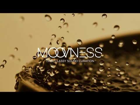 HAAN808 FEAT. JR JARRIS - INFINITY