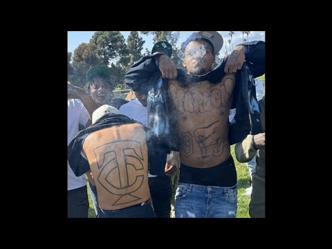 (FREE) X4 x Asm Bopster Type Beat