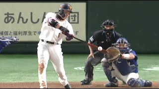 [討論] 日職球員一整年的嗨賴 關鍵字