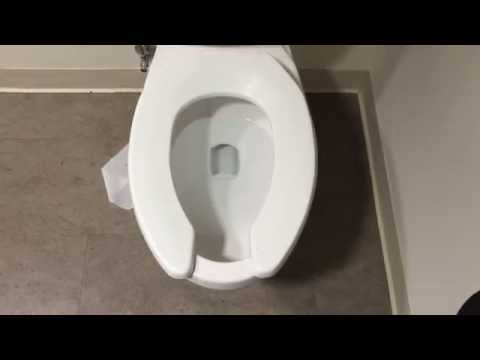 American Standard Glenwall Toilet Flush Video