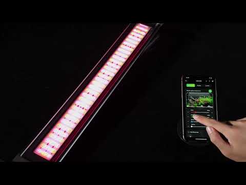LuminPacific