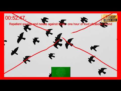 Repellent sounds and noises against birds - one hour of loud ultrasonic sound