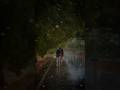 Aa Pyar Tujhe Kar Lu Kumarsanu Poornima Viral Short Video 4kstatus Love Ytshorts Shorts