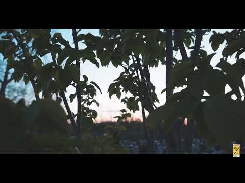 Dolla Bill - Untangled Dir. @VTRUPRESENTS #CycleBreaker