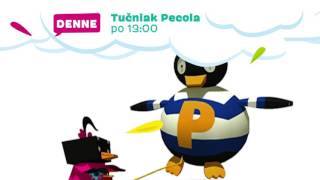 Tučniak Pecola (každý deň po 13:00 na ŤUKI)