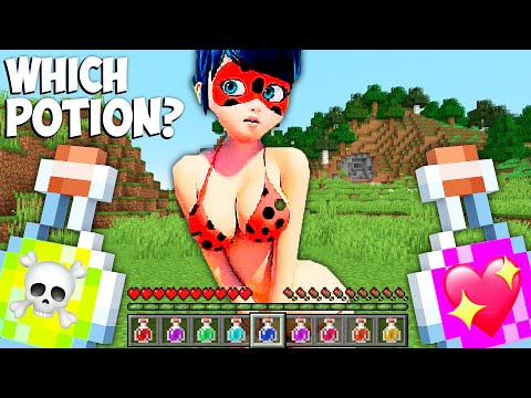 King Noob - WHICH POTION to GIVE LADY BUG POSION or LOVE in Minecraft ???