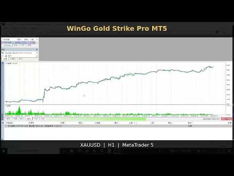 Video WinGo Gold Strike Pro MT5