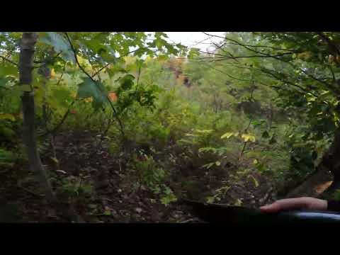 My First Maine Ruffed Grouse of 2022