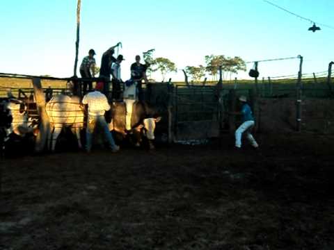 Junior vs Raio laser. Cia GF