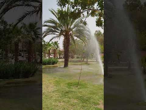 #اكسبلور  #nature #الغابة #voiceeffects