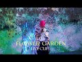 Ravi - Flower Garden (Live Clip)