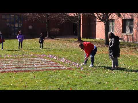 Clifford Johnson Elementary School Veterans Day 2020