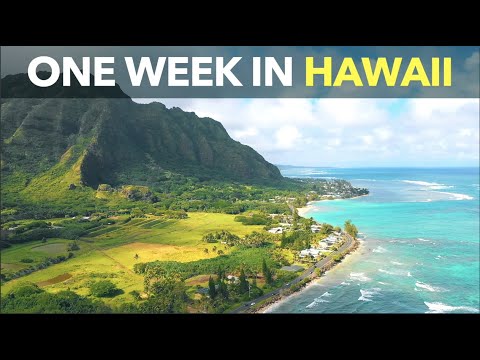 夏威夷的一週 (One Week in Hawaii)