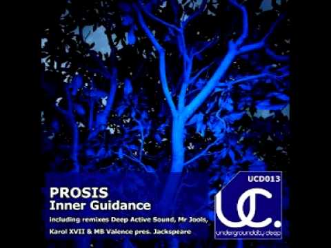 Prosis - Inner Guidance (mr jools remix)