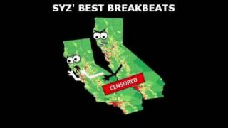 Bass Mekanik feat. Afro-Rican - Do It (Sharaz remix)