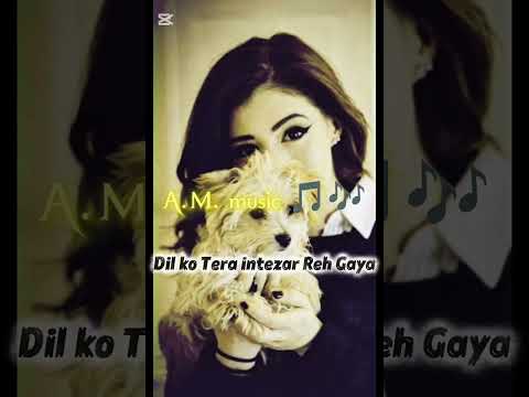 Dil ko Tera intezar rah Gaya new song 2025 Indian of Punjabi