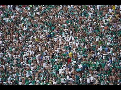 Electro do guarani.wmv