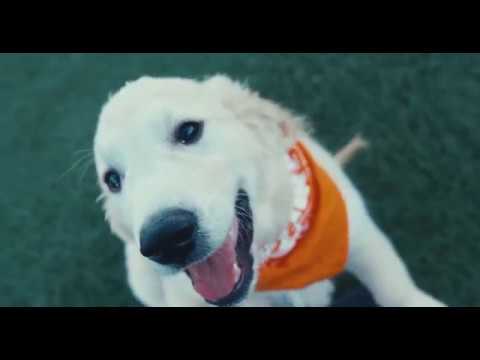 Chuckit! National Fetch Day 2019 at Bar K