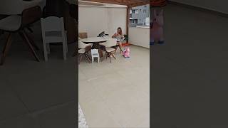 Os cachorrinhos daqui