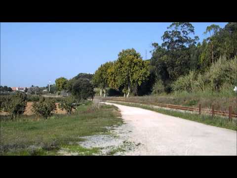 Comboio Especial n.º 20558/9 (PTG Tours) - Roliça