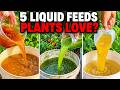 Even Dead Plants Come Back to Life! 5 Natural Fertilizers That Work Instantly DEFAULT Thumbnail