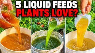 Even Dead Plants Come Back to Life! 5 Natural Fertilizers That Work Instantly MQDEFAULT Thumbnail