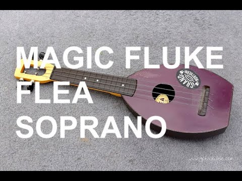 Got A Ukulele Reviews - Magic Fluke Flea Soprano