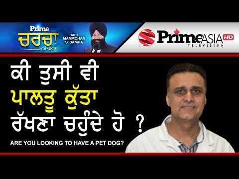 Prime Charcha (107) || Are You Looking To Have A Pet Dog ?