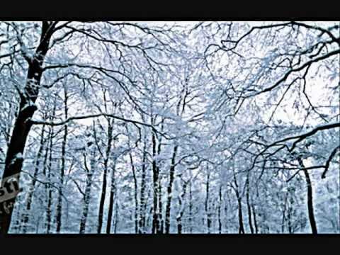 Eerste sneeuw - Stan Van Samang